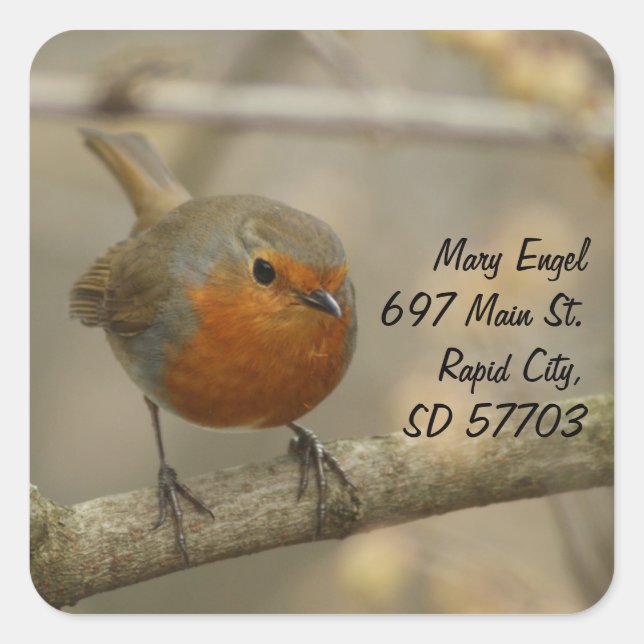 robin address label (Front)