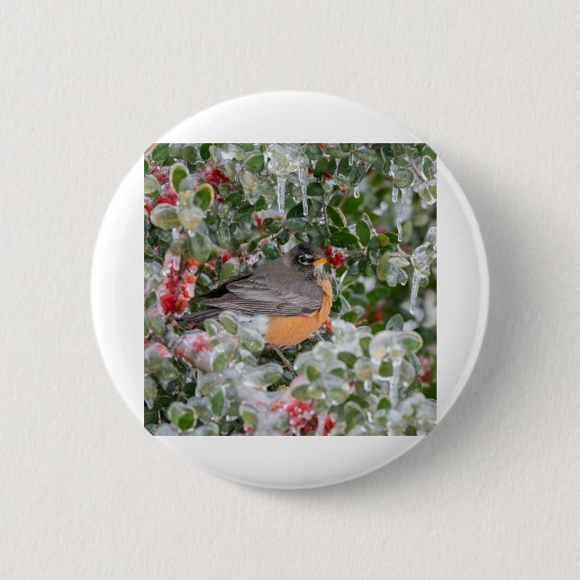 Robin at Christmas 6 Cm Round Badge (Front)