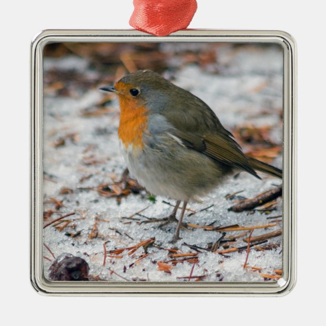 Robin Bauble Metal Tree Decoration (Front)