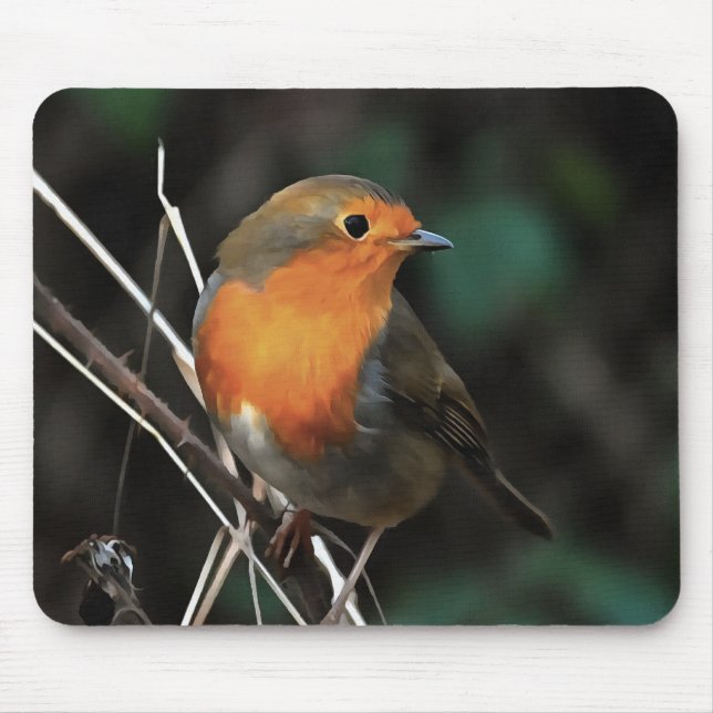 Robin Being Bright On A Dull Day Acrylic Art Mouse Pad (Front)