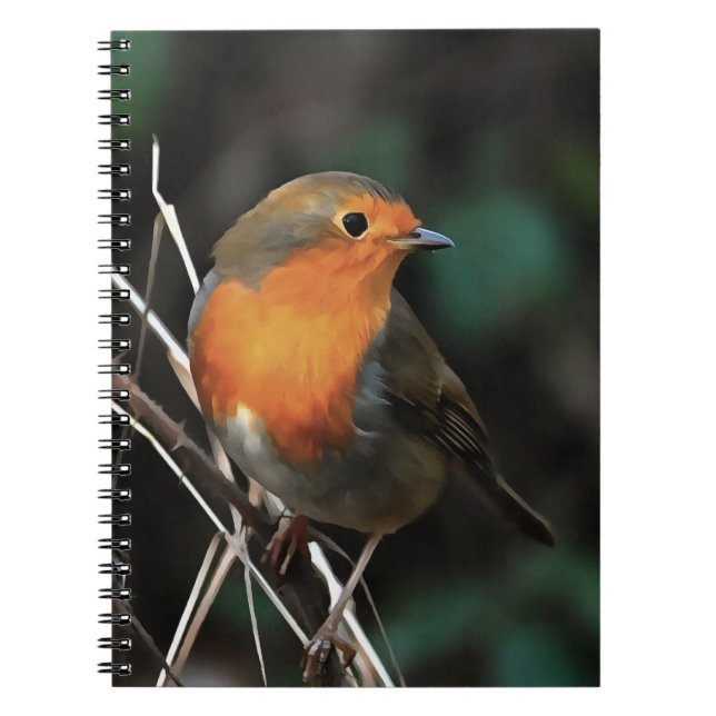 Robin Being Bright On A Dull Day Acrylic Art Notebook (Front)