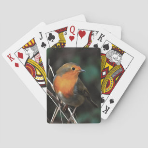 Robin Being Bright On A Dull Day Acrylic Art Playing Cards