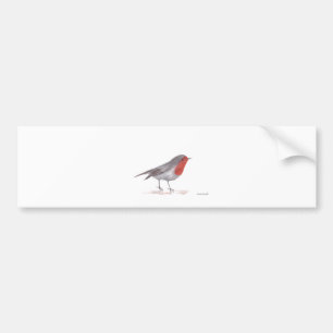 Robin bird bumper sticker