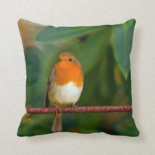 Robin bird cushion