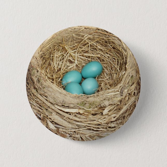 Robin Bird Egg Nest 6 Cm Round Badge (Front)