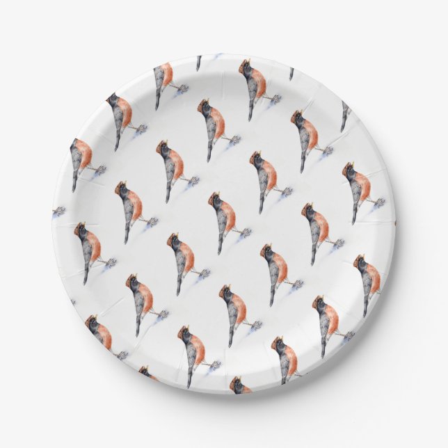 Robin Bird in Hat Paper Plate (Front)