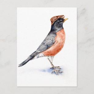 Robin Bird in Hat Postcard
