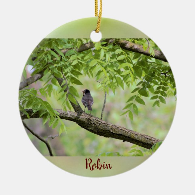 Robin Bird in Tree Ceramic Tree Decoration (Front)