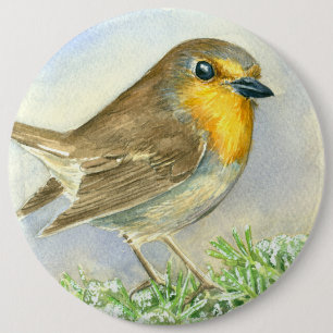 Robin bird on a frosted juniper branch 6 cm round badge