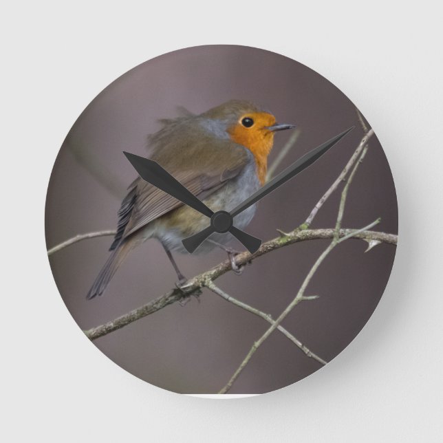 Robin Bird Round Clock (Front)