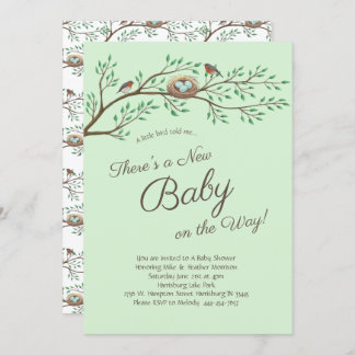 Robin Bird Spring Baby Shower Co-Ed Gender Neutral Invitation