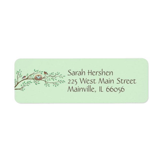 Robin Birds Nest Eggs Spring Baby Shower (Front)