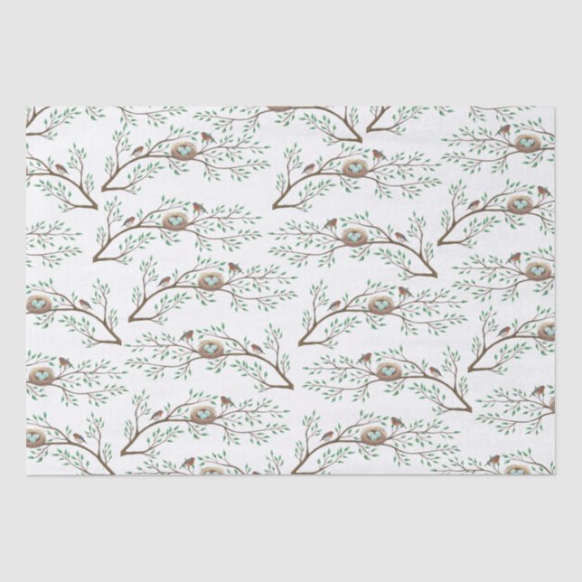 Robin Birds Nest Eggs Spring Baby Shower Tissue Paper (Front)