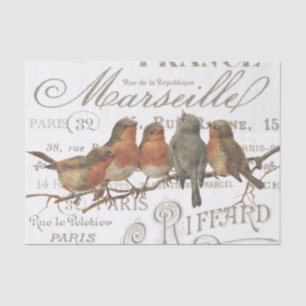Robin Birds Vintage French City Names Tissue Paper