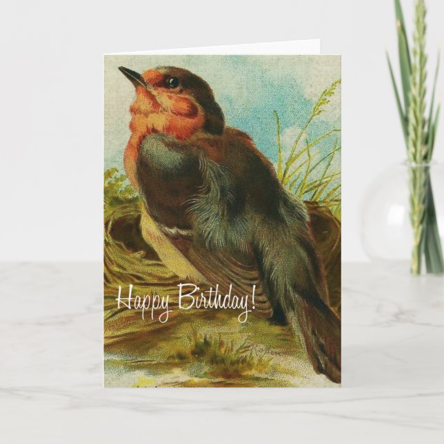 Robin Birthday Card (Front)