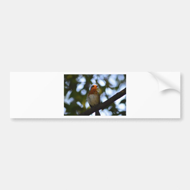 Robin Bumper Sticker (Front)
