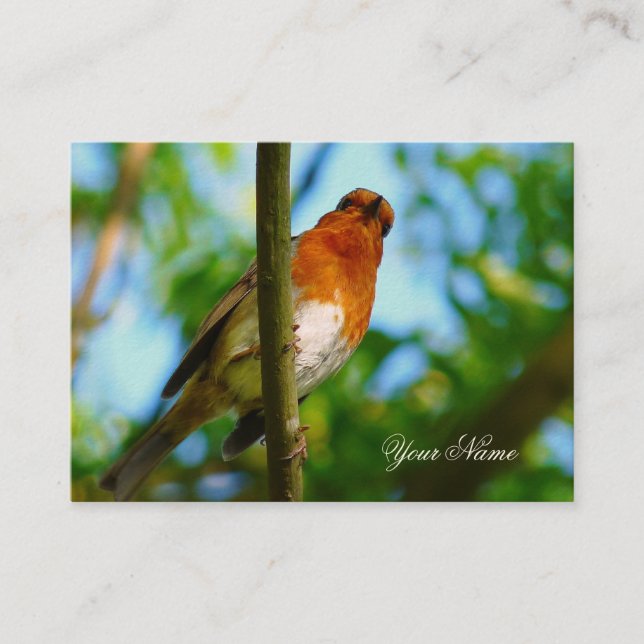 ROBIN BUSINESS CARD (Front)