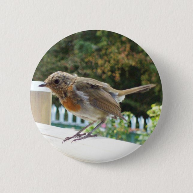 Robin Button Badge (Front)