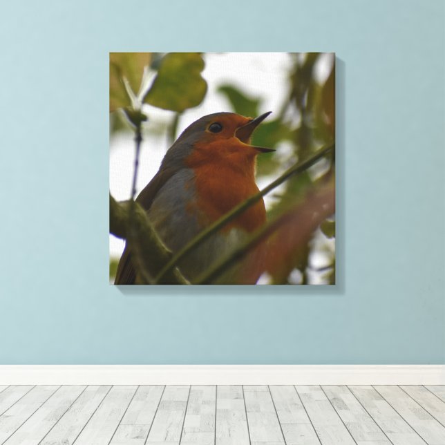 Robin  canvas print (Insitu(Wood Floor))