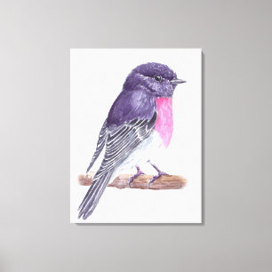 Robin Canvas Print