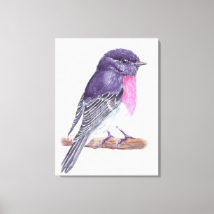Robin Canvas Print