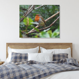 Robin Canvas Print
