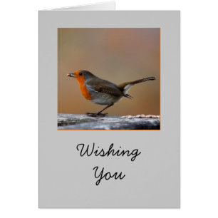 Robin Card
