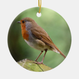 Robin Ceramic Decoration