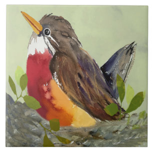 Robin Ceramic Kitchen Tile