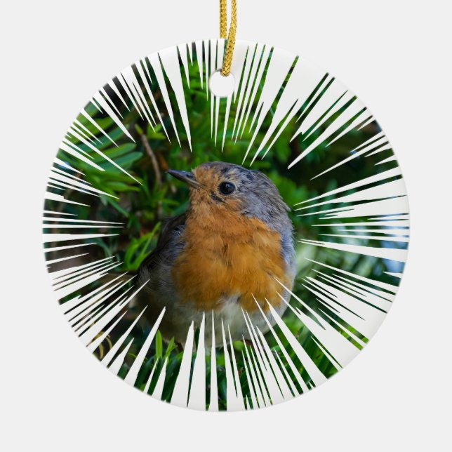 Robin Christmas Tree ornament (Front)