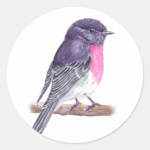 Robin Classic Round Sticker
