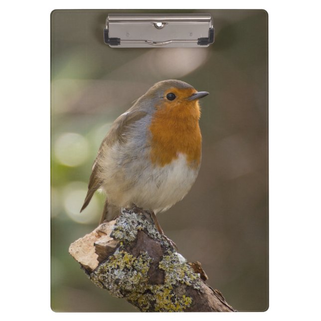 Robin Clipboard (Front)