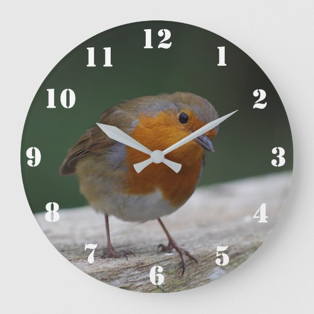 Robin Clock (Front)