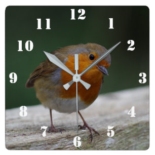 Robin Clock