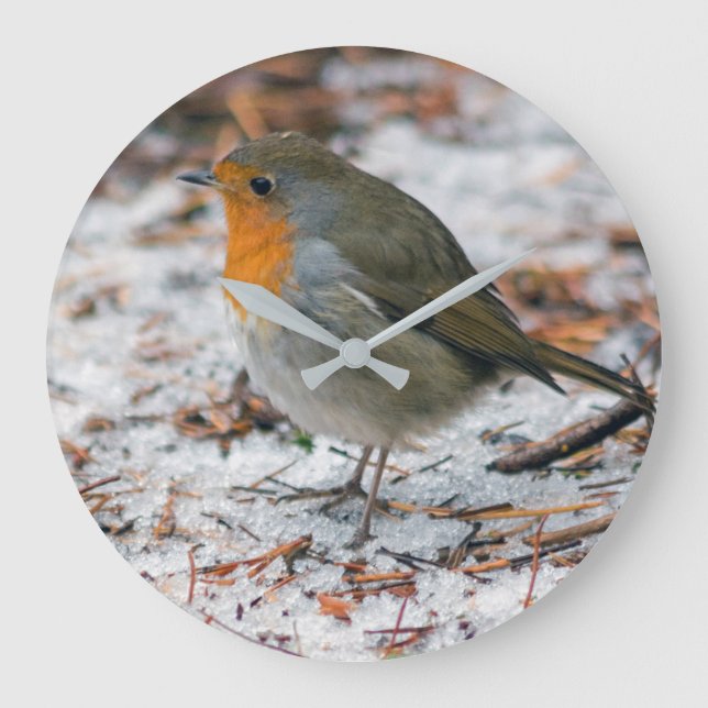 Robin Clock (Front)