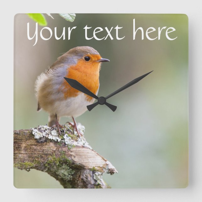 Robin clock add your own text (Front)