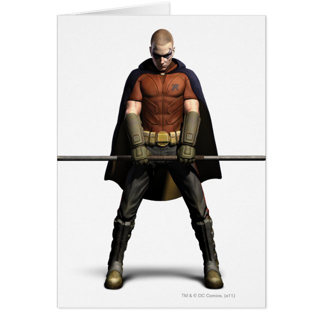 Robin Colour (Front)