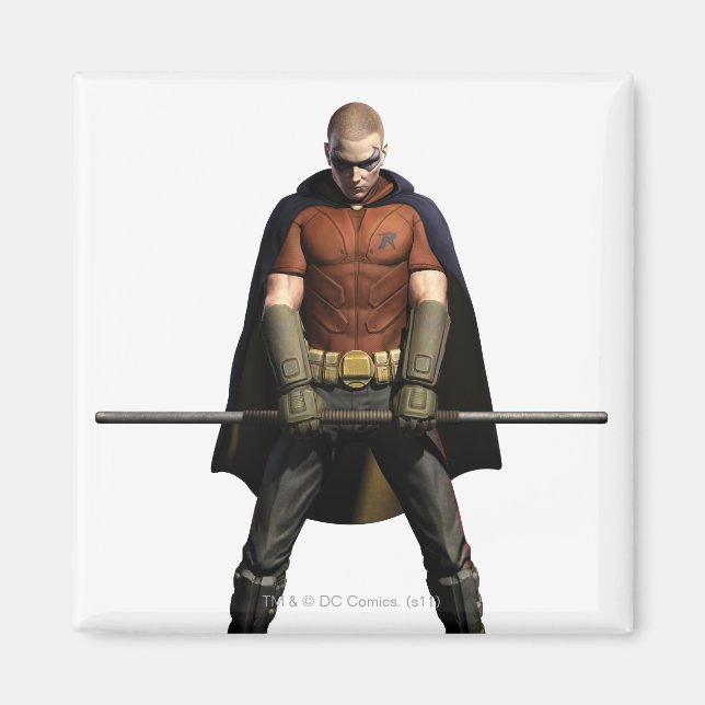 Robin Colour Magnet (Front)