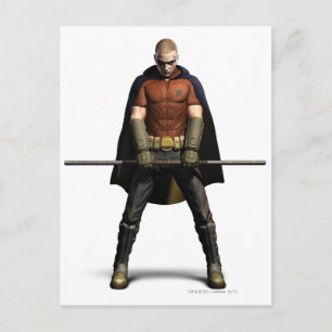 Robin Colour Postcard