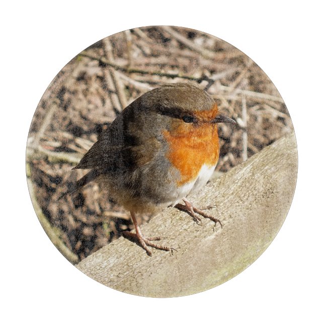 ROBIN CUTTING BOARD (Front)