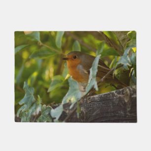 Robin Doormat