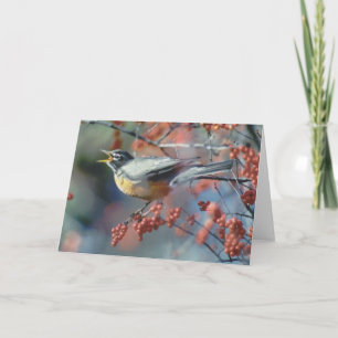 Robin eating berry card