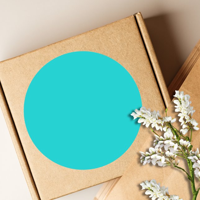 Robin Egg Blue Solid Colour | Classic | Elegant Classic Round Sticker (Creator Uploaded)