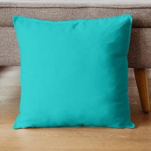 Robin Egg Blue Solid Colour Classic Elegant Cushion
