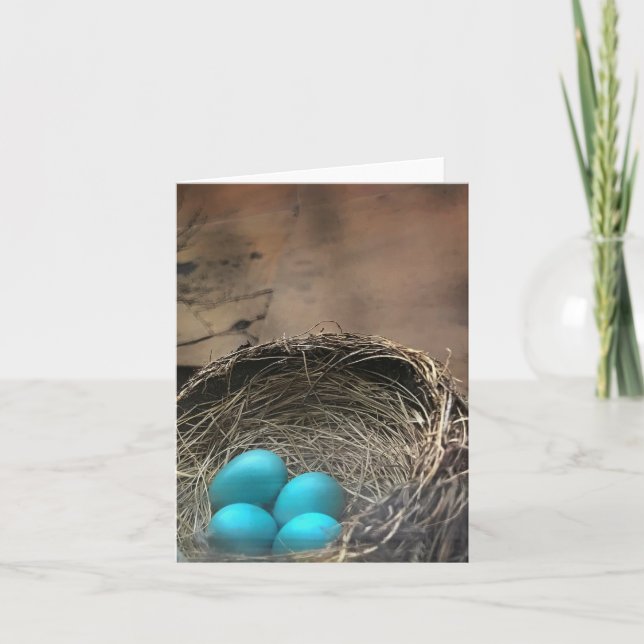 Robin Eggs Blank Note Card (Front)