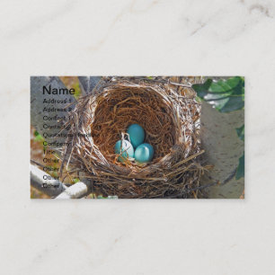 Robin Eggs in a Backyard Tree Nest Business Card