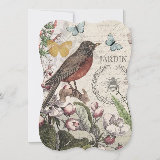 Robin Elegant Bird Butterfly French Art (Front)