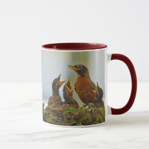 Robin Family Mug