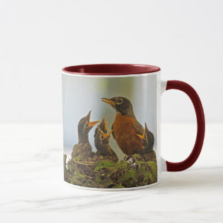 Robin Family Mug
