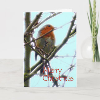 Robin graphic art Christmas card